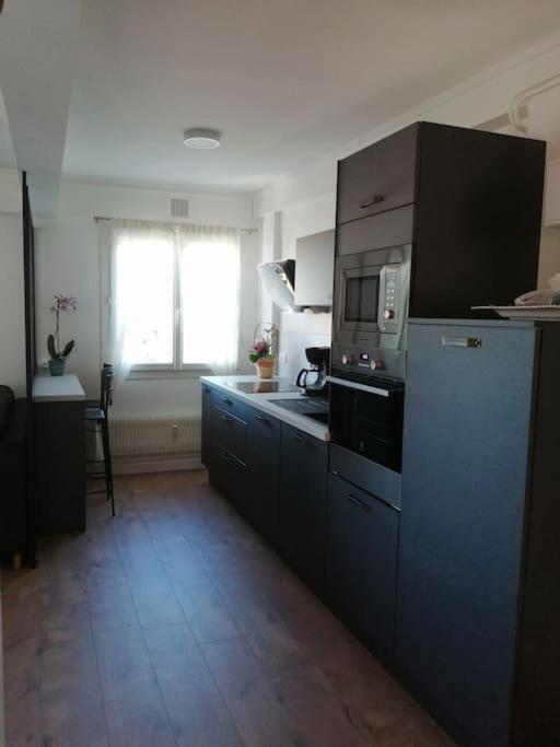 Bel Appartement Au Bord De L'Allier Classe 4* Віші Екстер'єр фото